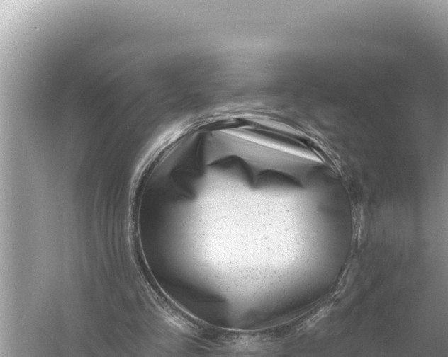 X0000059060293200510212034