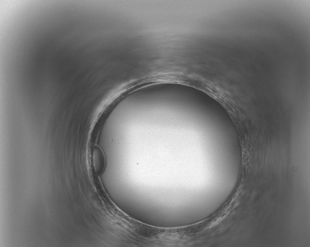 X0000059060294200510212034