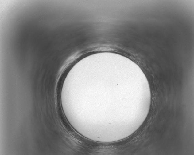 X0000059060296200510212034