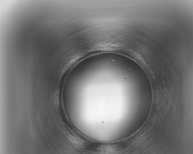 X0000059060299200510212034