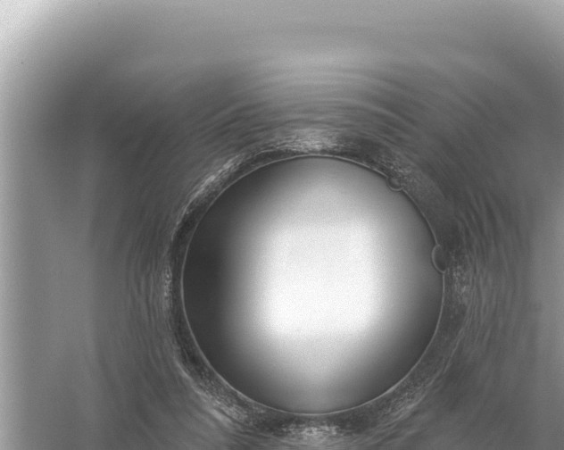 X0000059060304200510212034