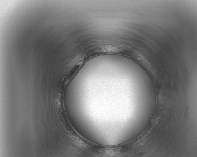 X0000059060305200510212034