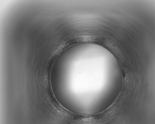 X0000059060306200510212034