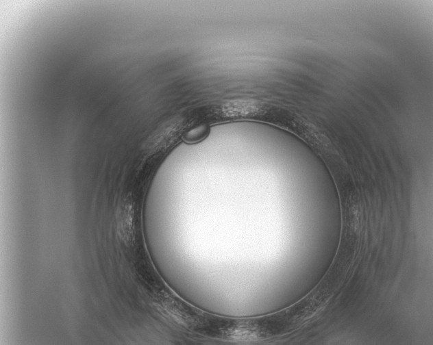 X0000059060308200510212034