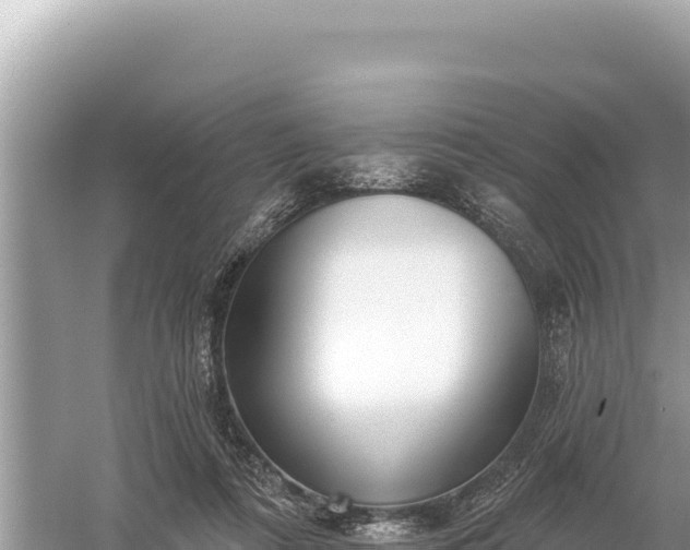 X0000059060312200510212034