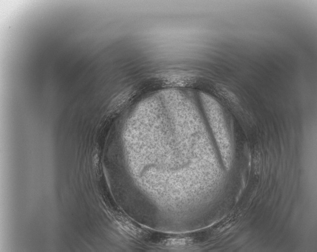 X0000059060314200510212034