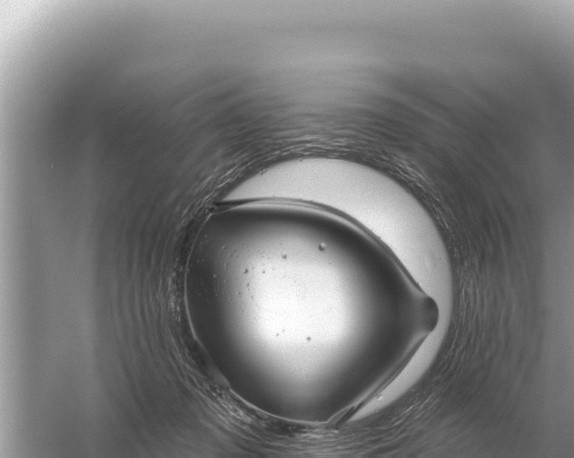 X0000059060317200510212033