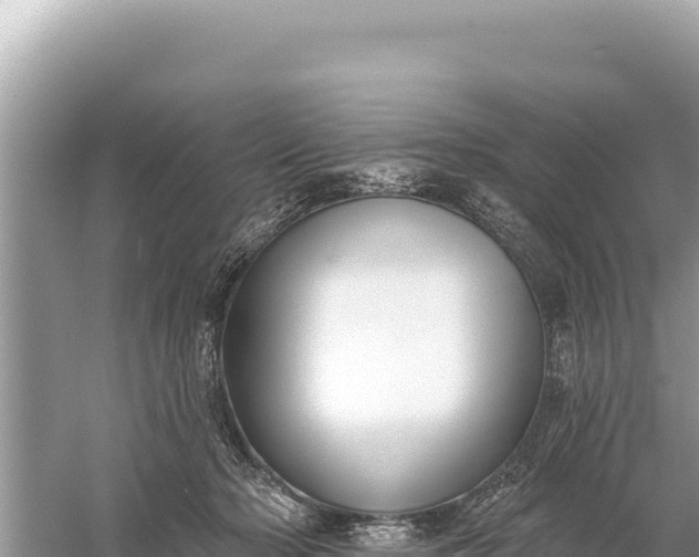 X0000059060318200510212033