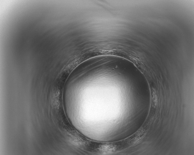 X0000059060319200510212033