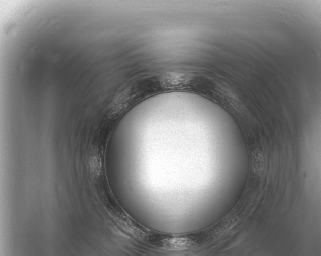 X0000059060324200510212033