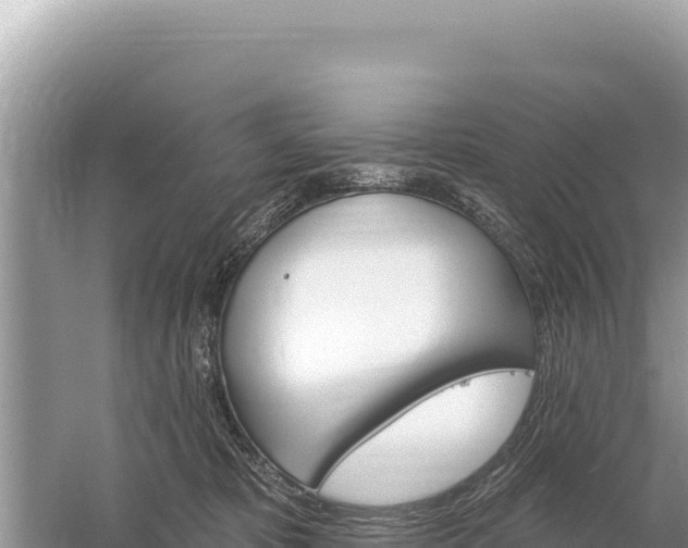 X0000059060325200510212033