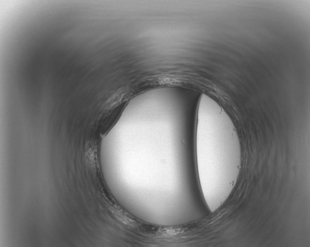 X0000059060329200510212033