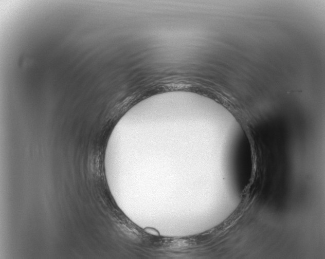 X0000059060330200510212033