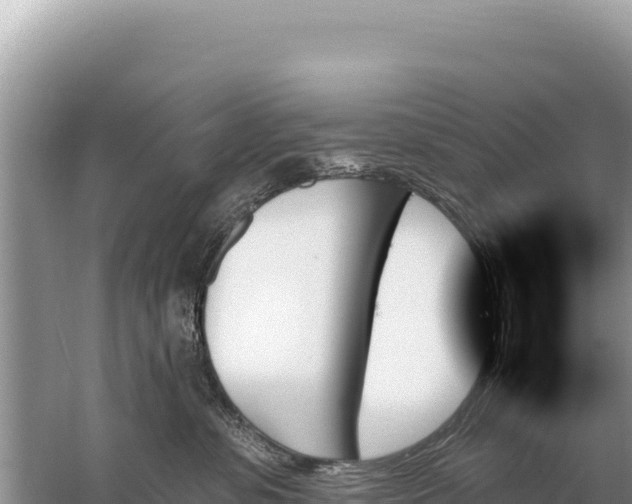 X0000059060331200510212033