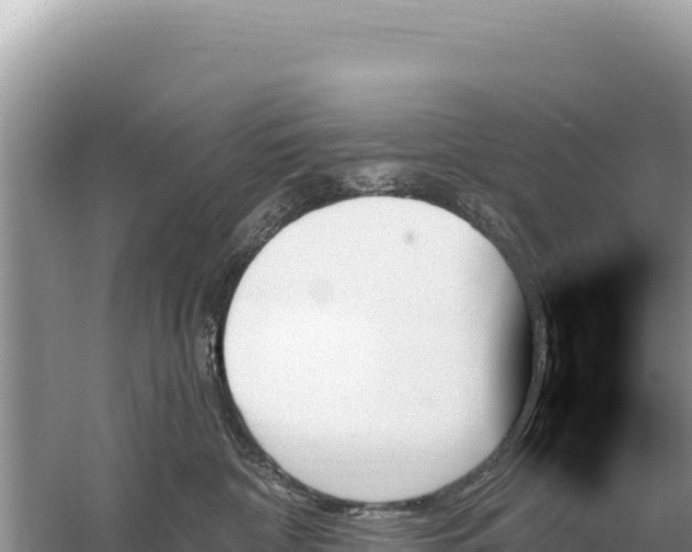 X0000059060332200510212033