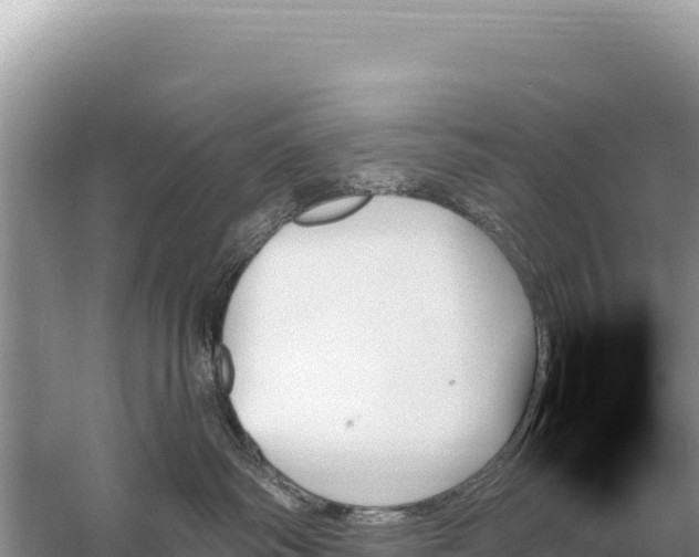 X0000059060334200510212033