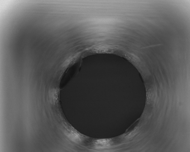 X0000059060335200510212033