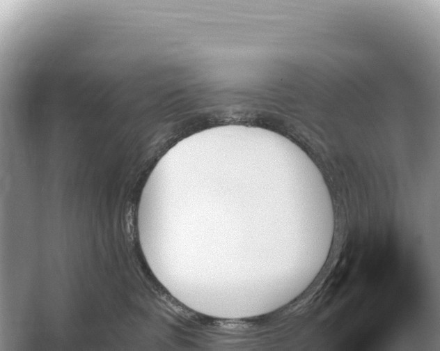 X0000059060336200510212033