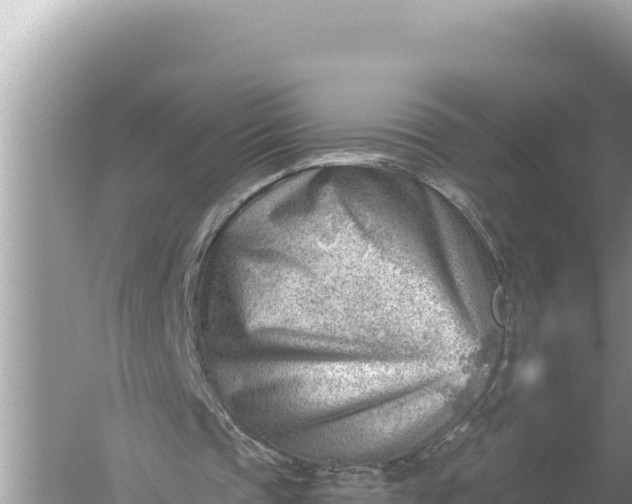 X0000059060337200510212032