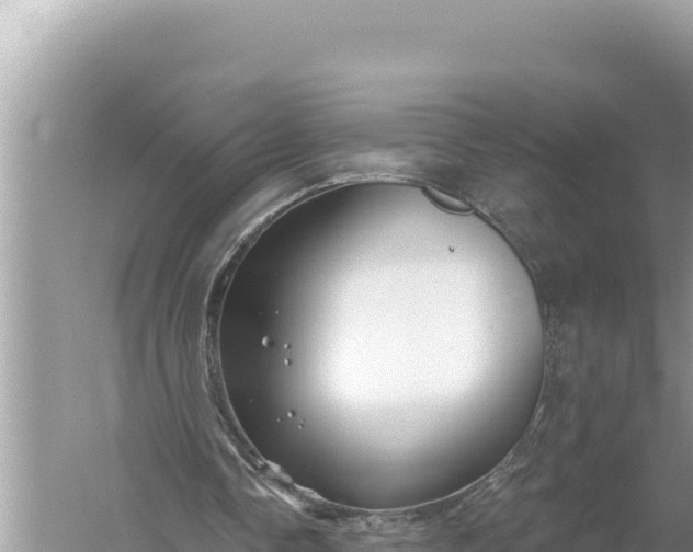 X0000059060338200510212032