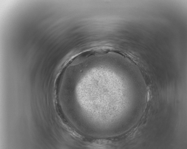 X0000059060339200510212032