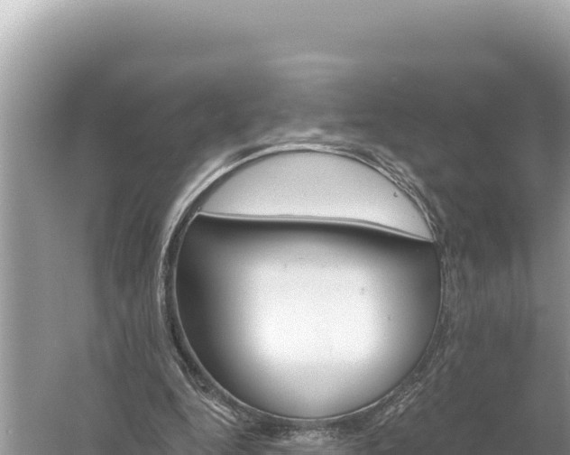 X0000059060344200510212032