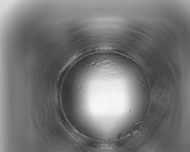 X0000059060347200510212032