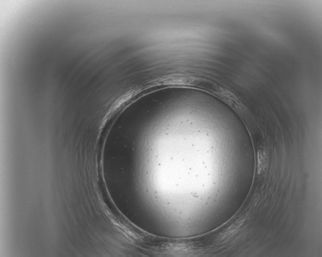 X0000059060349200510212033