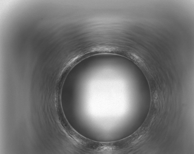 X0000059060352200510212033