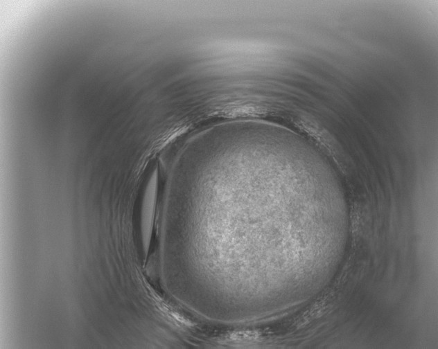 X0000059060353200510212033