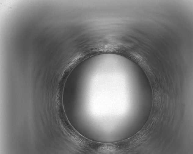 X0000059060354200510212033