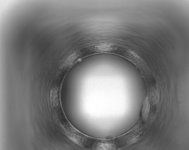 X0000059060360200510212033