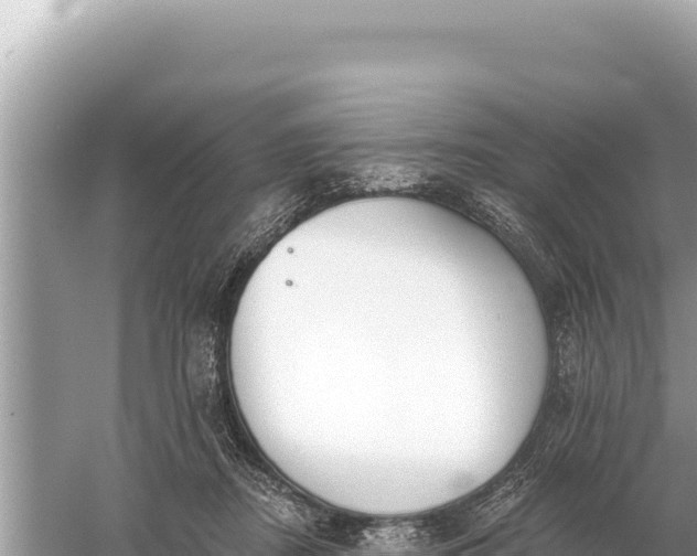 X0000059060362200510212033