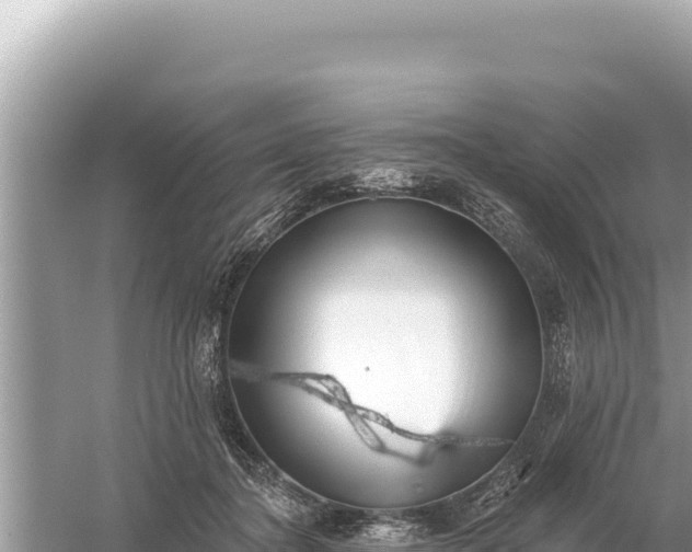 X0000059060364200510212033