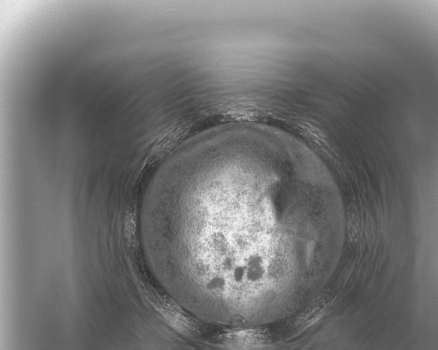 X0000059060365200510212033