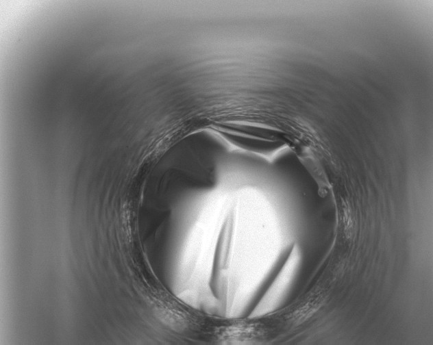 X0000059060366200510212033