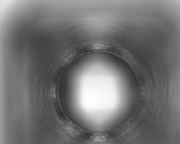 X0000059060368200510212033