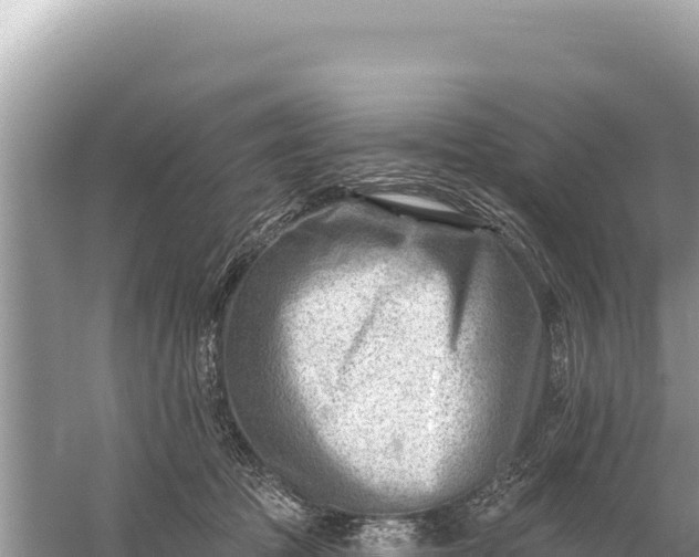 X0000059060369200510212033