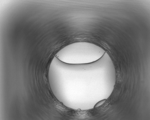 X0000059060377200510212033