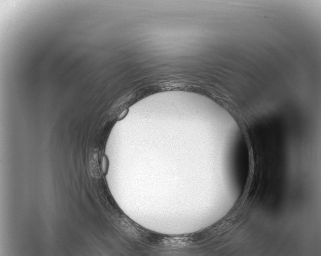 X0000059060378200510212033