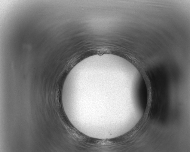 X0000059060379200510212033