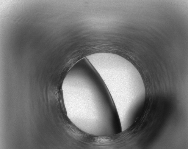 X0000059060380200510212033