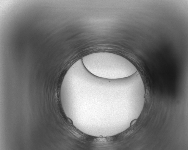 X0000059060381200510212033