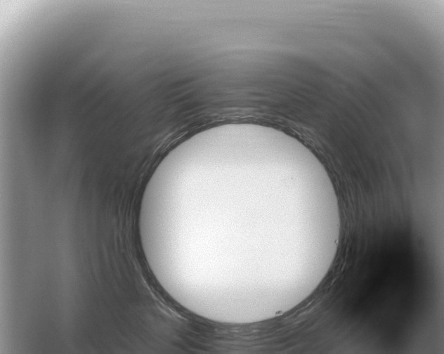 X0000059060383200510212033