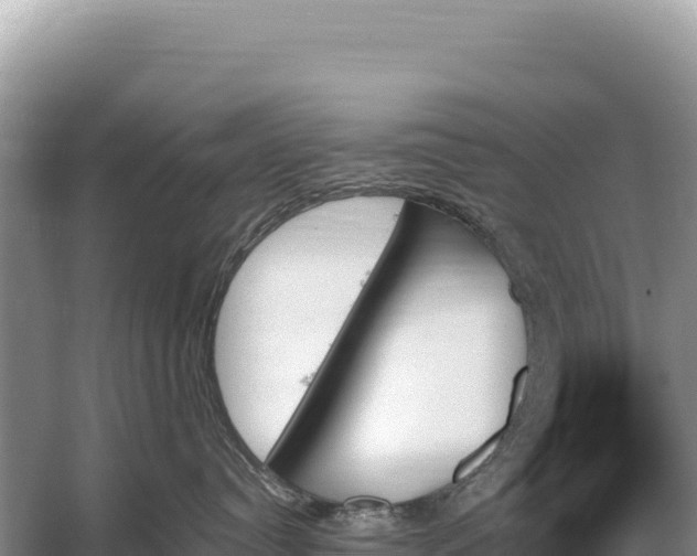 X0000059060384200510212033