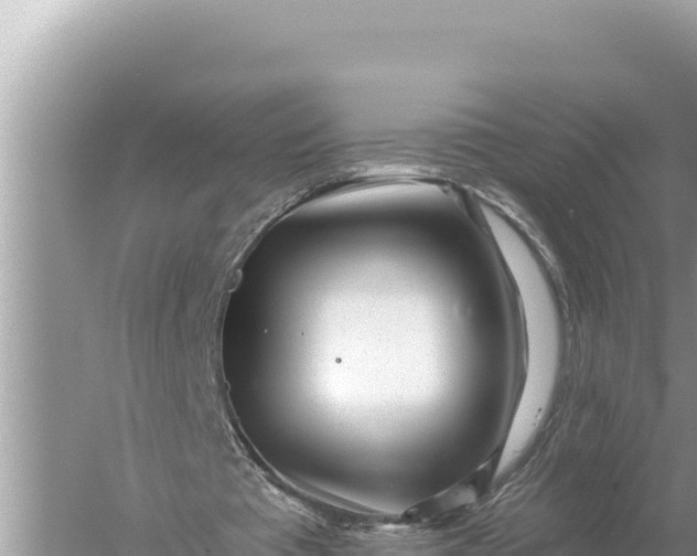 X0000059060385200510212032