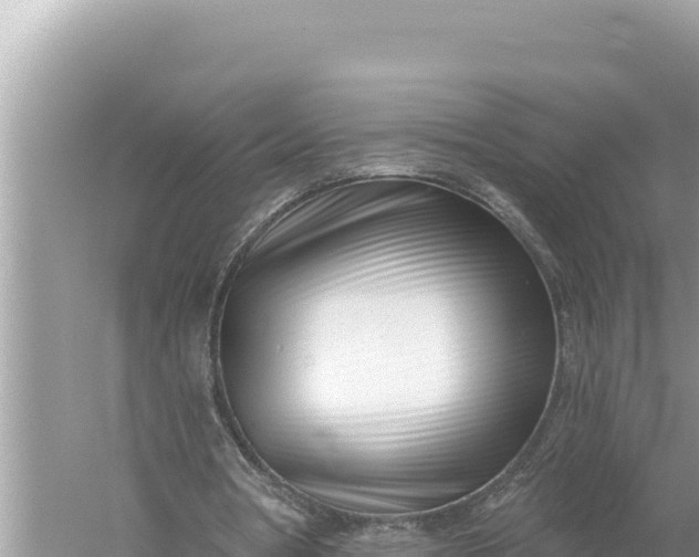 X0000059060386200510212032