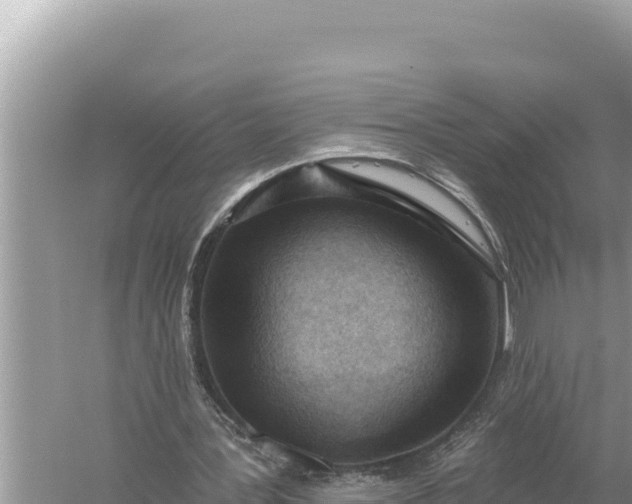 X0000059060387200510212032