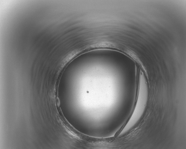 X0000059060389200510212032