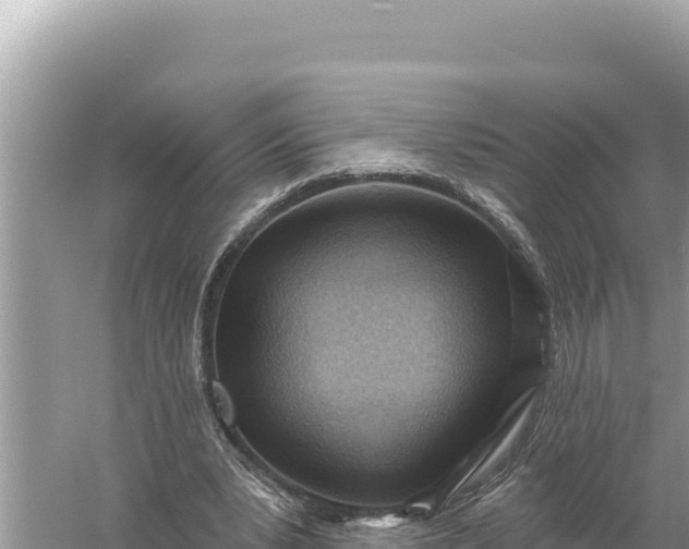 X0000059060391200510212032